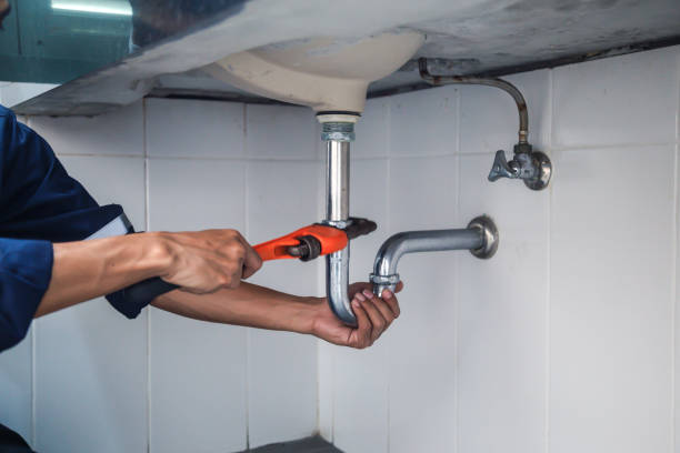 Best Commercial Plumbing Services  in Lake Shore, MN
