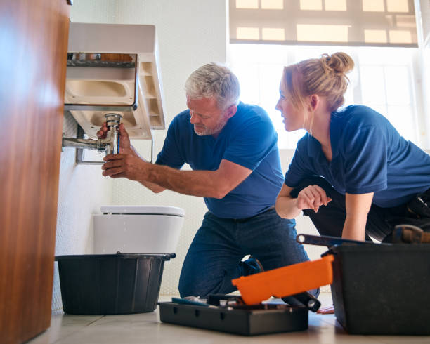  Lake Shore, MN Plumbing Pros